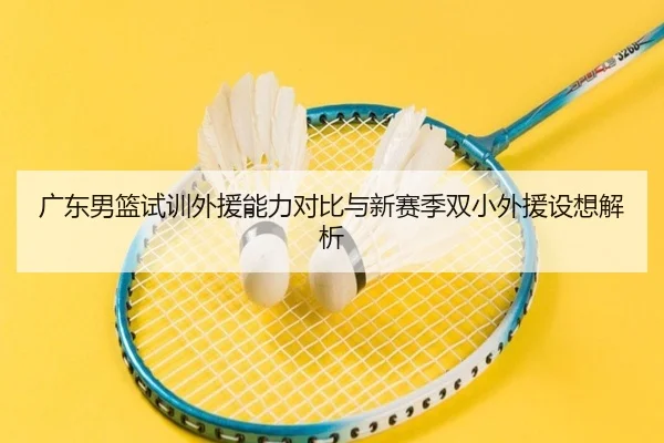 广东男篮试训外援能力对比与新赛季双小外援设想解析